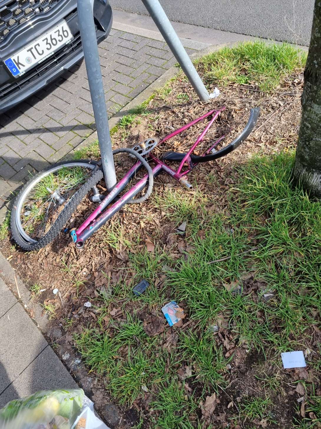 Bild zu gemeldetem Anliegen vom *2024-10-19 01:25:40