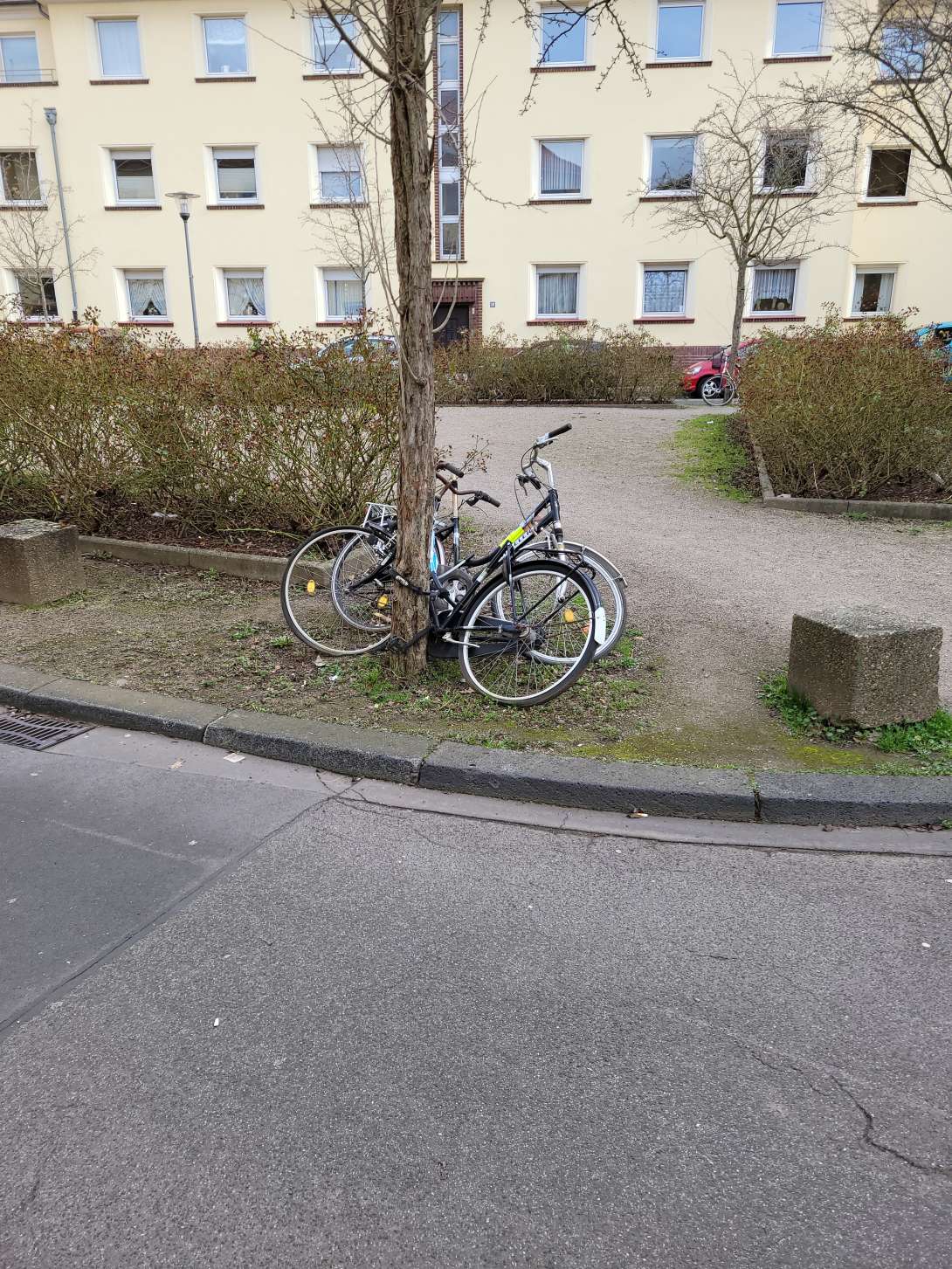 Bild zu gemeldetem Anliegen vom *2024-05-08 09:31:43