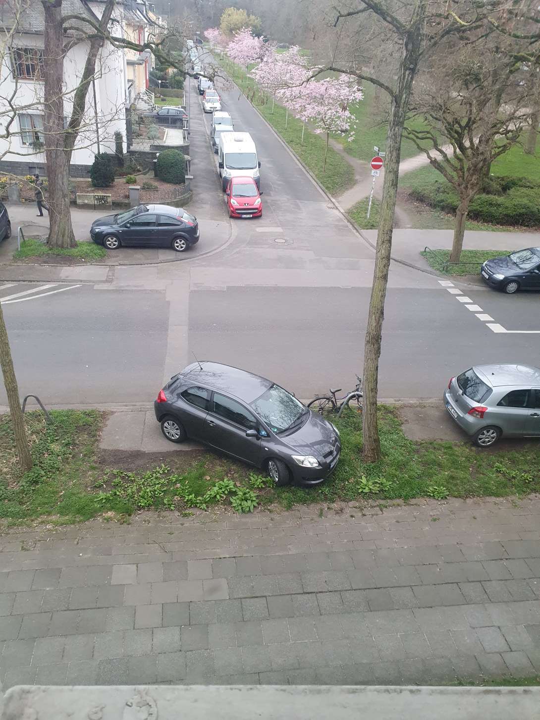 Bild zu gemeldetem Anliegen vom *2024-03-06 11:16:58