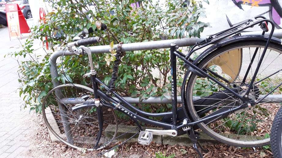 Bild zu gemeldetem Anliegen vom *2024-03-04 13:57:14