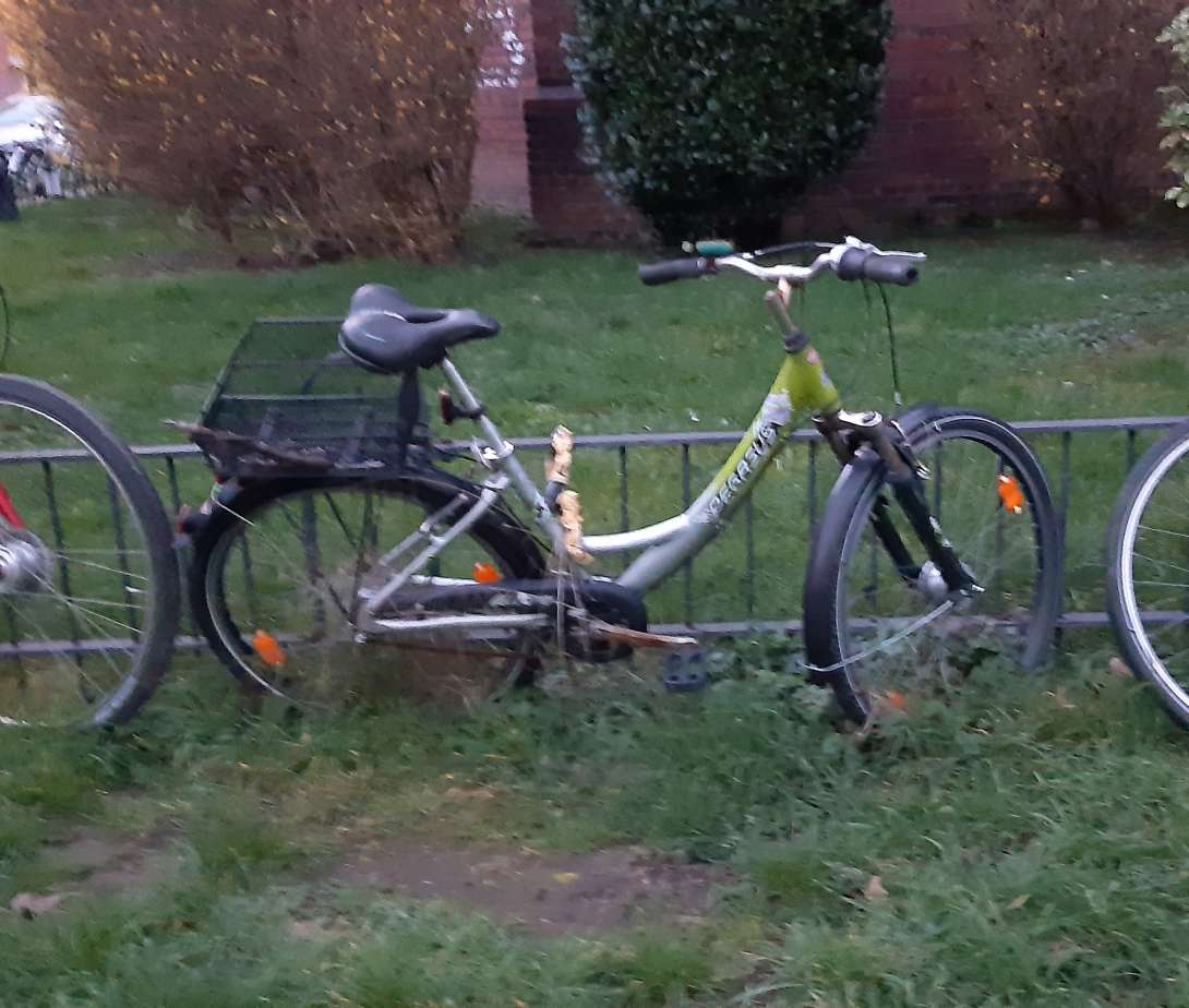 Bild zu gemeldetem Anliegen vom *2024-03-13 11:17:36