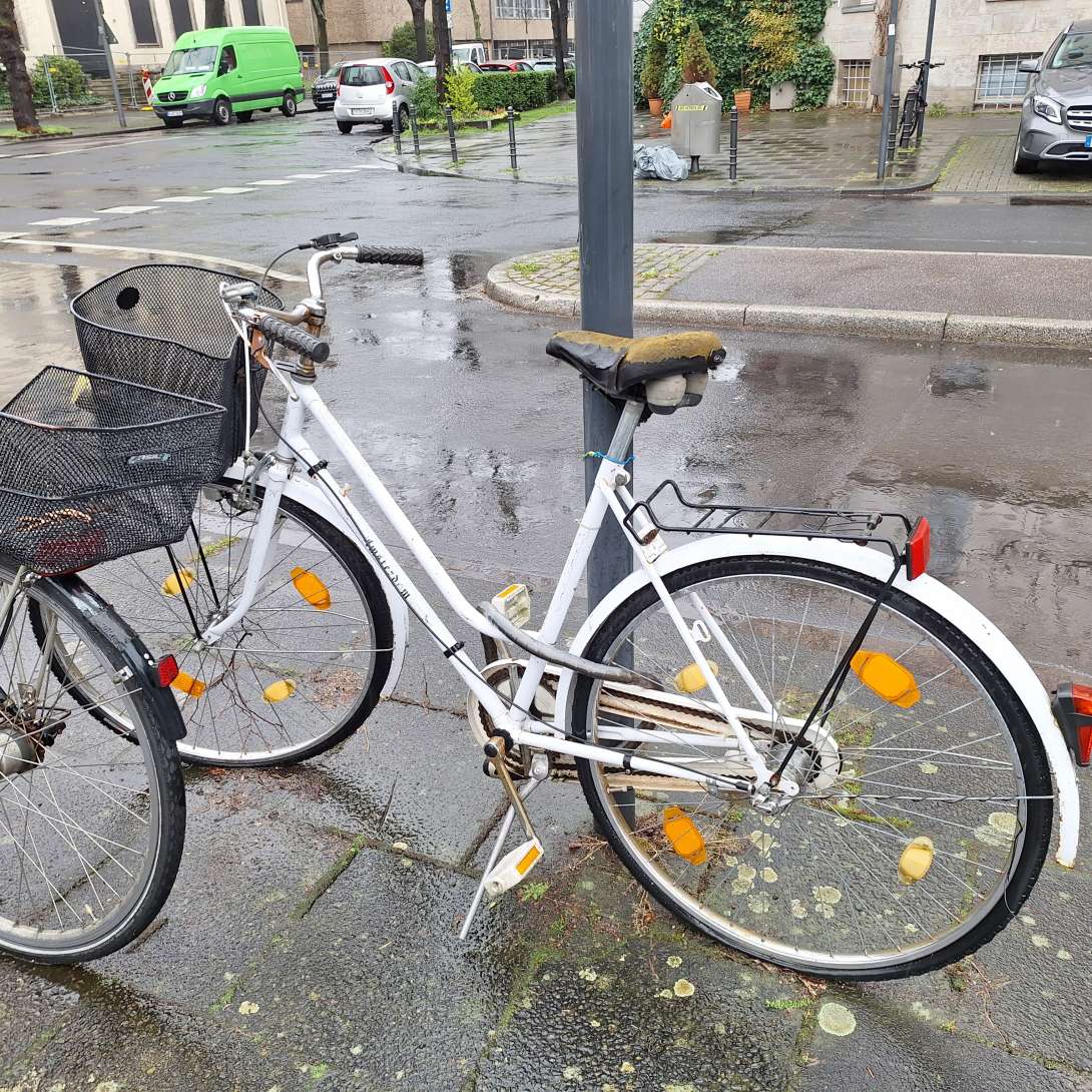 Bild zu gemeldetem Anliegen vom *2024-03-14 09:35:17