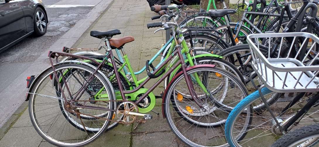 Bild zu gemeldetem Anliegen vom *2024-03-15 06:20:22