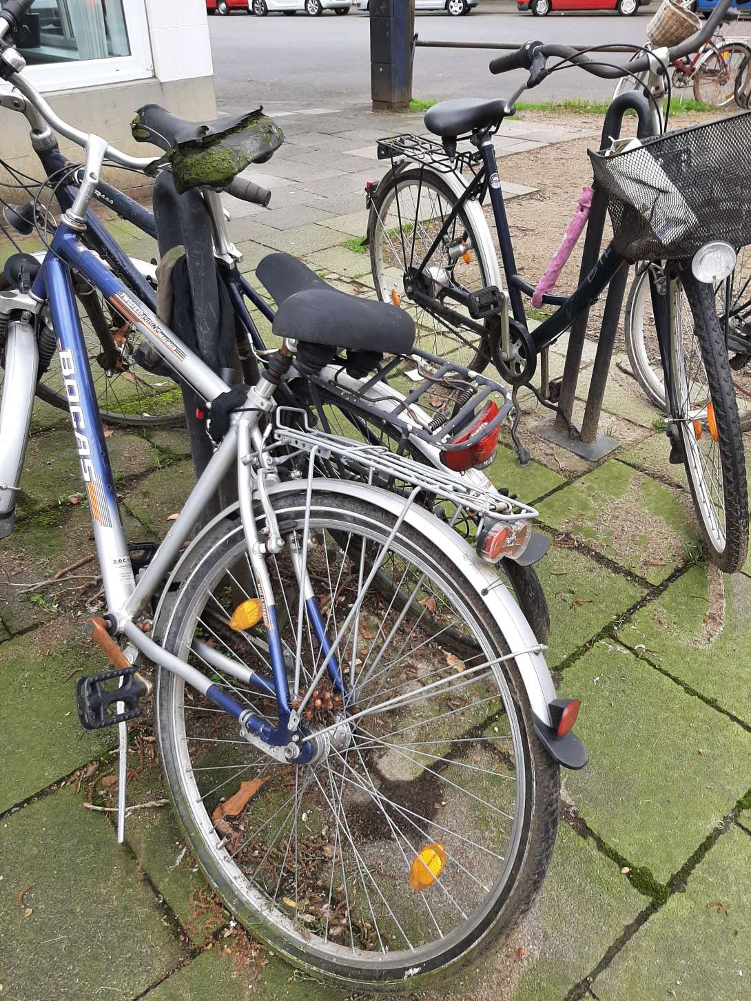 Bild zu gemeldetem Anliegen vom *2024-03-18 09:45:17