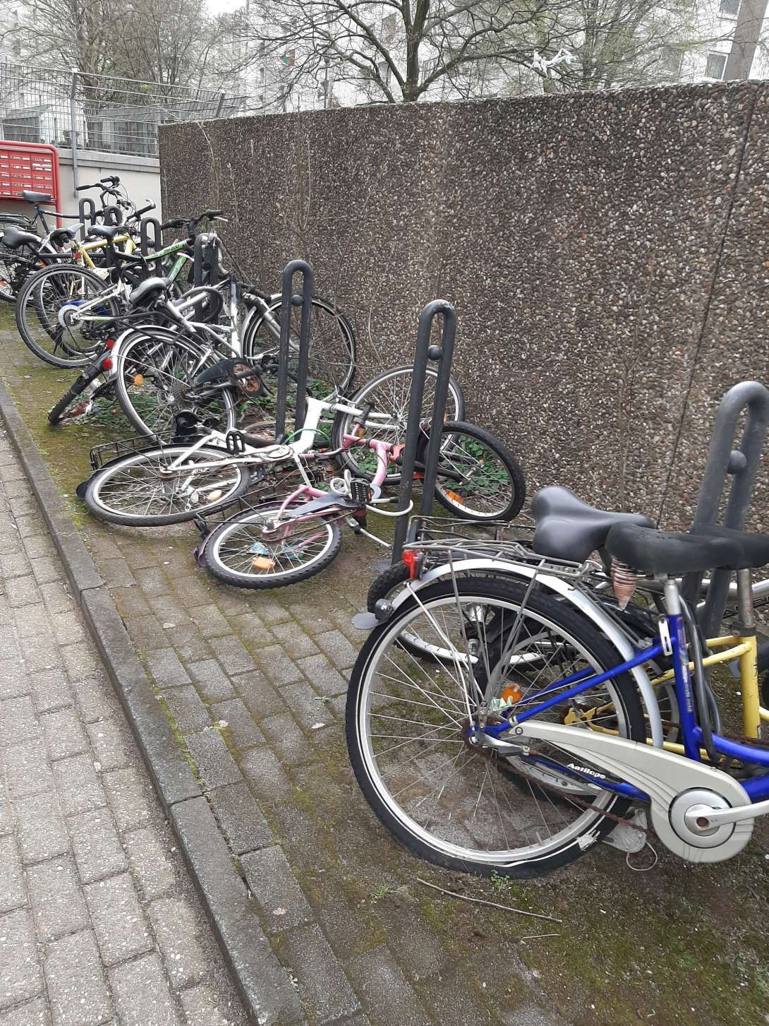 Bild zu gemeldetem Anliegen vom *2024-04-02 07:41:29