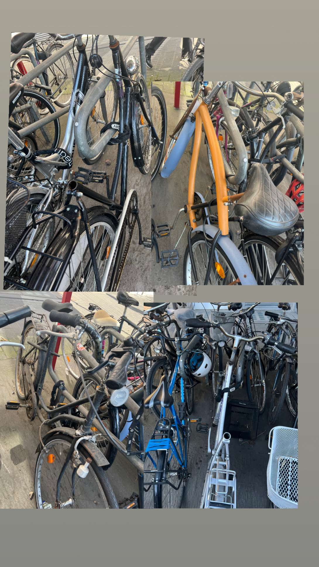 Bild zu gemeldetem Anliegen vom *2024-03-05 08:46:48