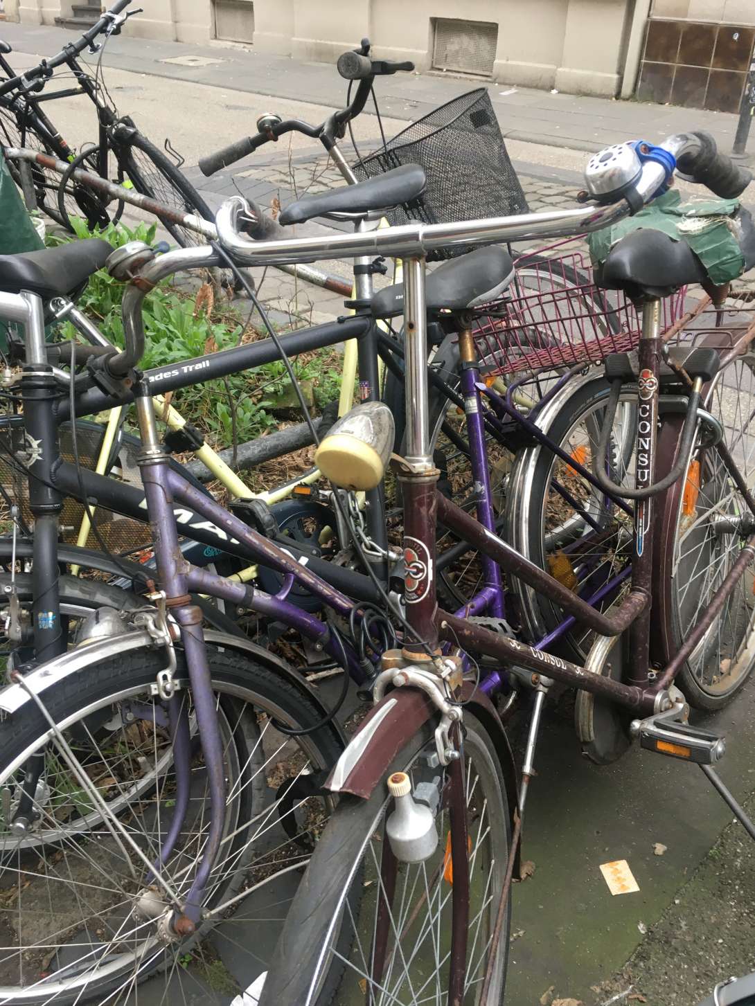 Bild zu gemeldetem Anliegen vom *2024-05-08 09:31:43