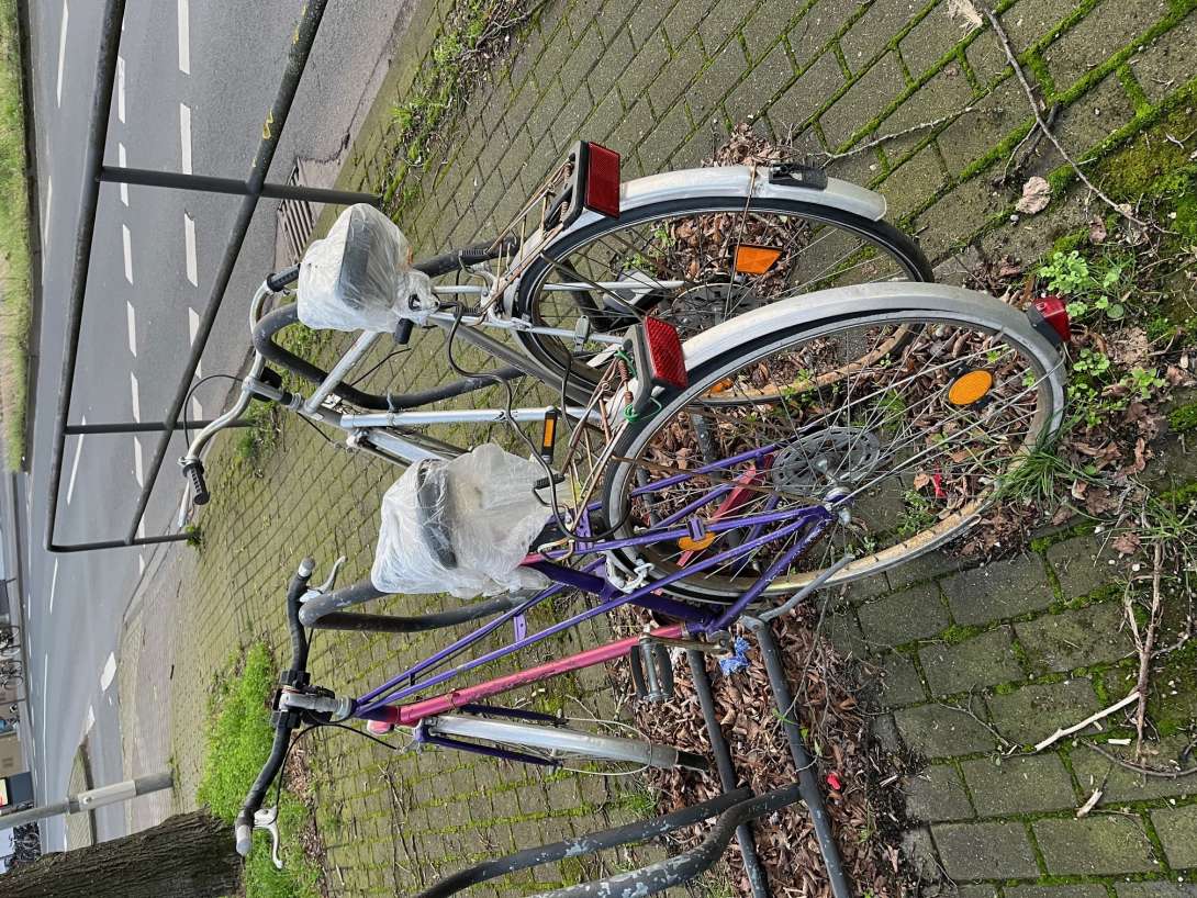 Bild zu gemeldetem Anliegen vom *2024-03-08 10:18:00