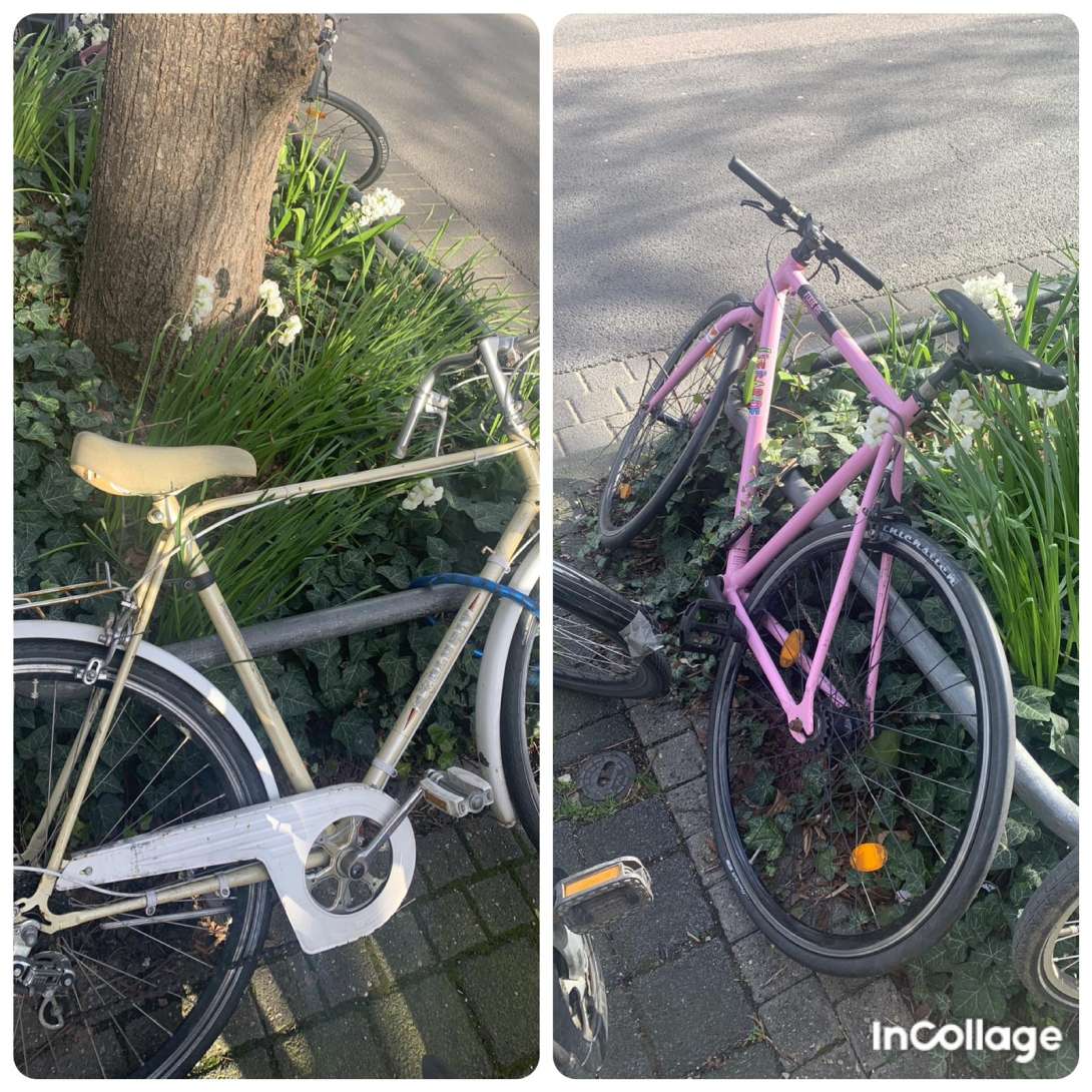 Bild zu gemeldetem Anliegen vom *2024-03-27 10:56:06