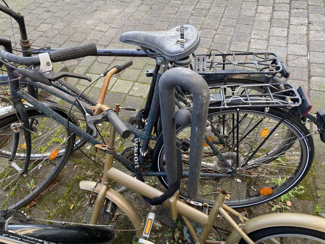 Bild zu gemeldetem Anliegen vom *2024-03-08 16:23:01