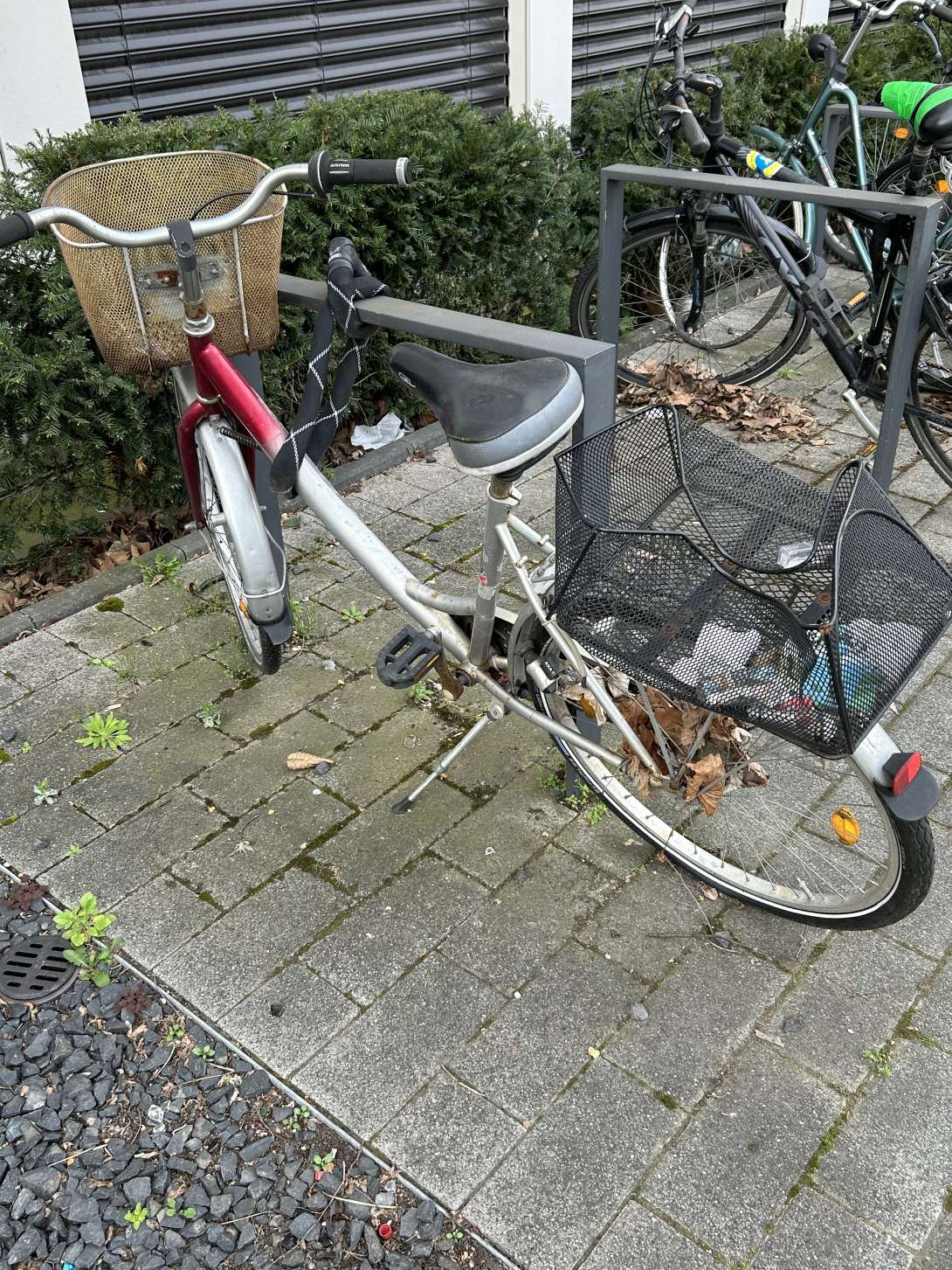 Bild zu gemeldetem Anliegen vom *2024-03-25 07:38:52