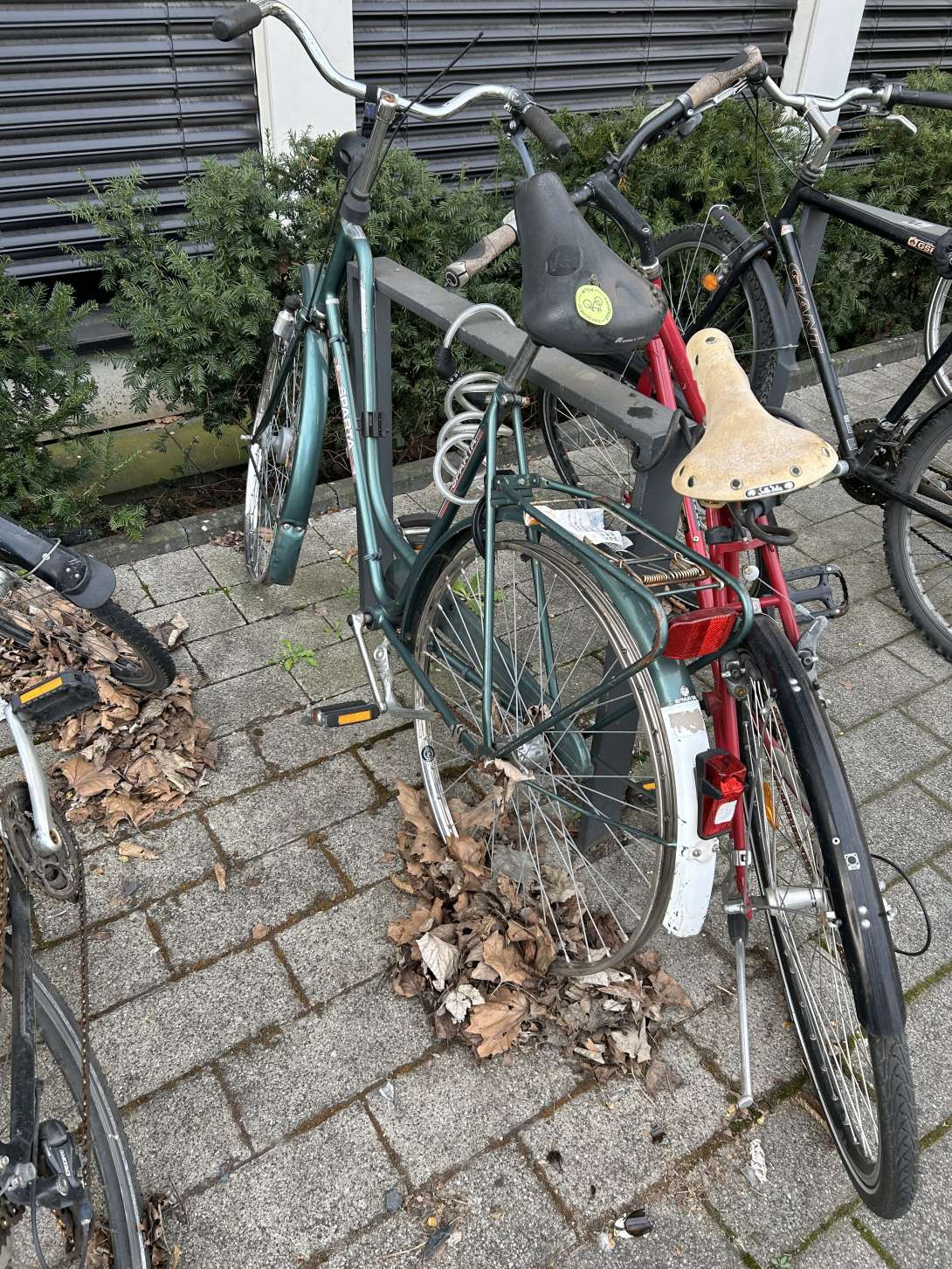 Bild zu gemeldetem Anliegen vom *2024-03-25 08:29:10