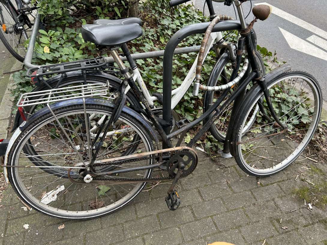 Bild zu gemeldetem Anliegen vom *2024-03-25 13:28:51