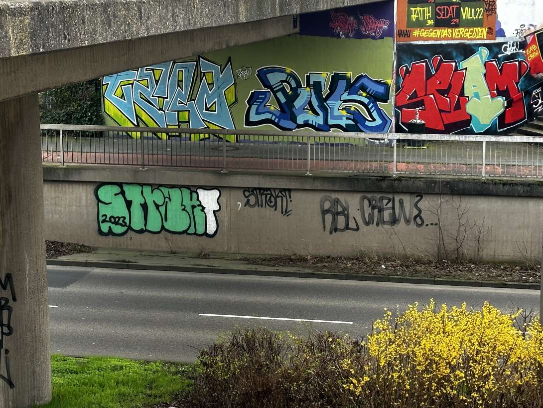 Bild zu gemeldetem Anliegen vom *2024-03-08 09:36:38