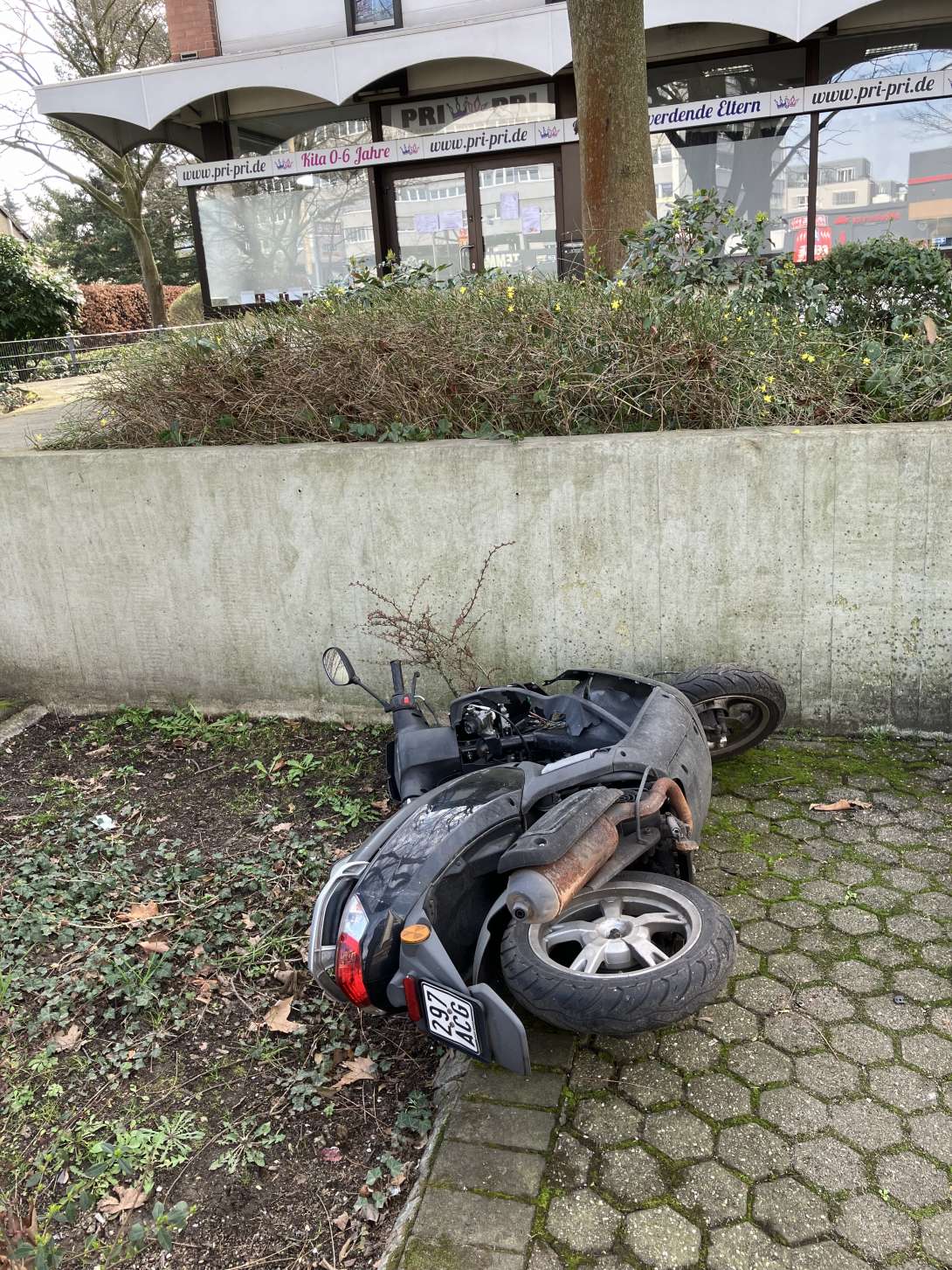 Bild zu gemeldetem Anliegen vom *2024-03-04 06:55:45