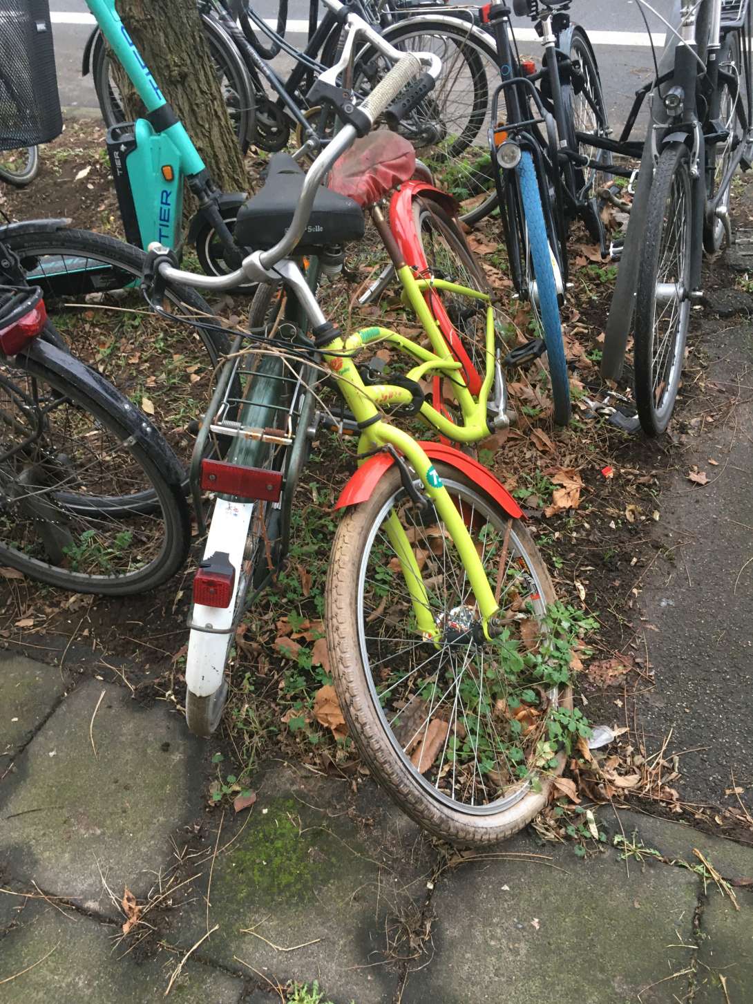 Bild zu gemeldetem Anliegen vom *2024-03-04 18:53:22