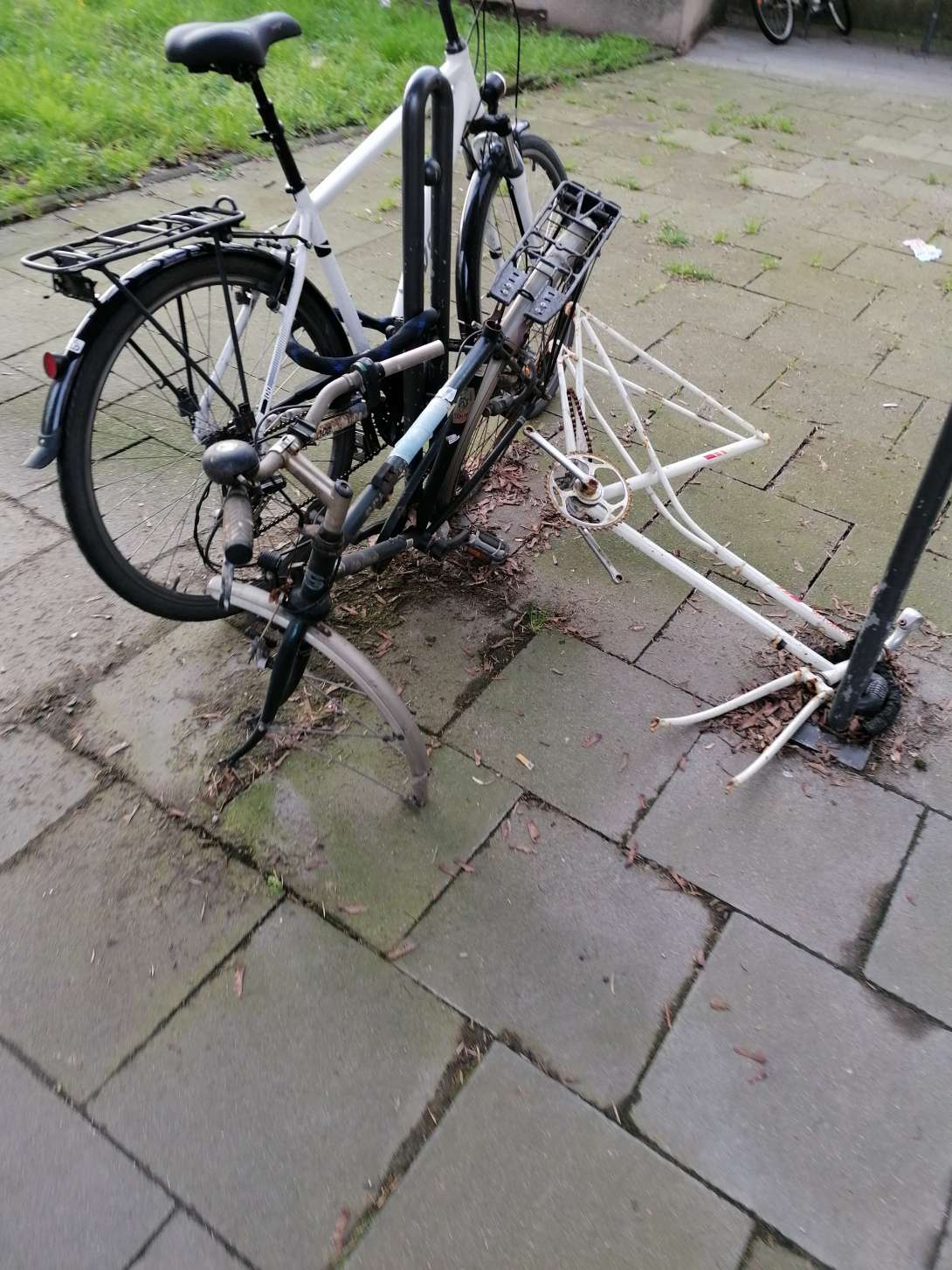 Bild zu gemeldetem Anliegen vom *2024-03-20 10:57:16