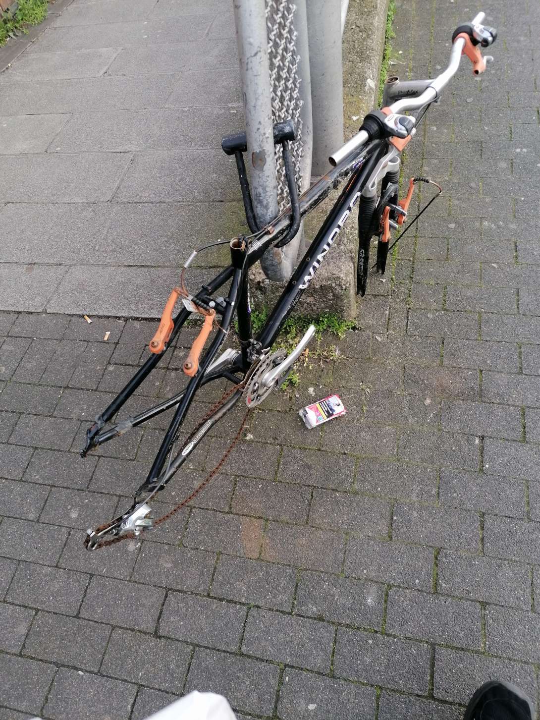 Bild zu gemeldetem Anliegen vom *2024-03-20 16:43:54