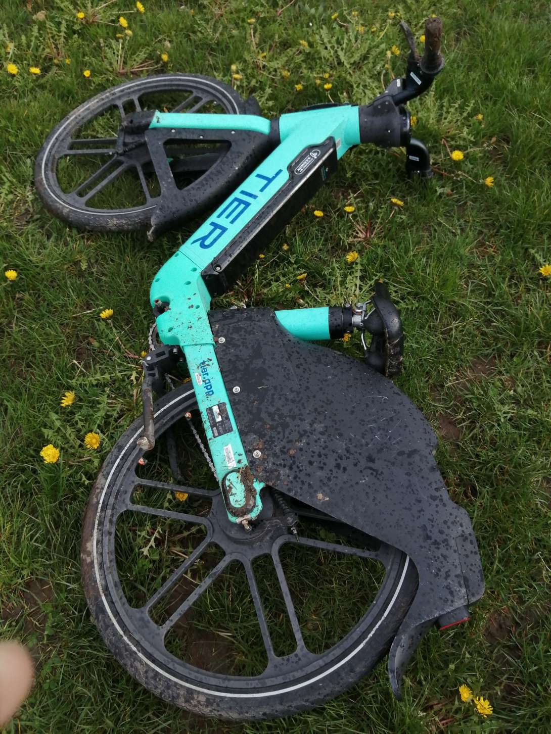 Bild zu gemeldetem Anliegen vom *2024-03-25 07:23:56