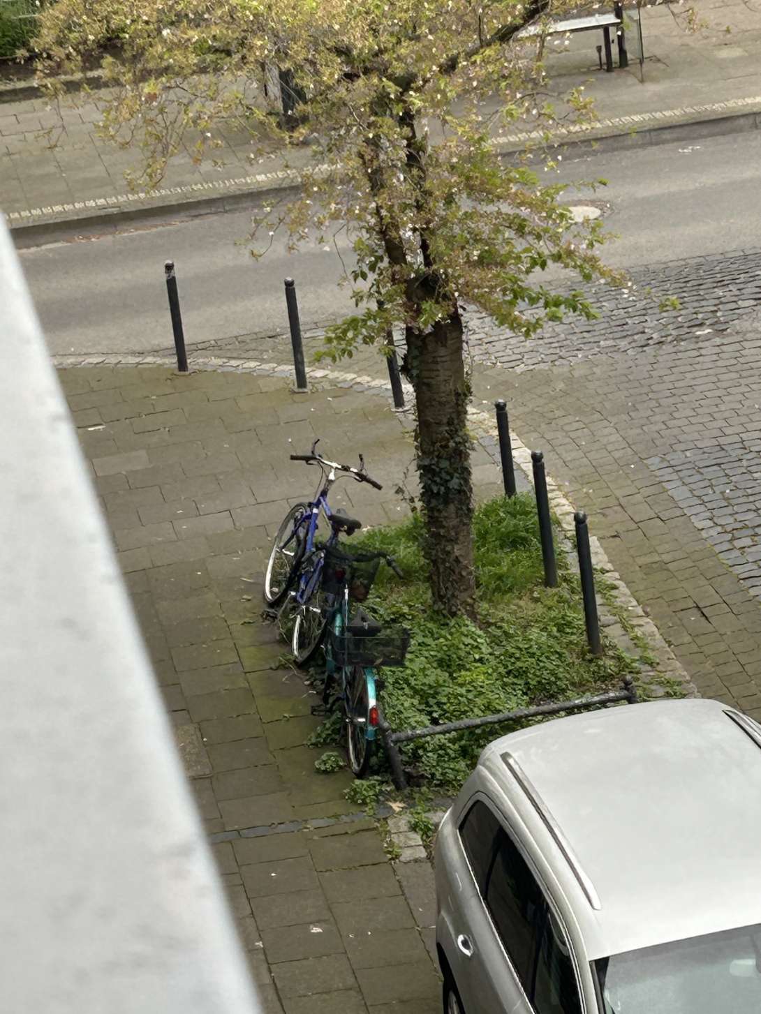 Bild zu gemeldetem Anliegen vom *2024-03-27 12:11:34