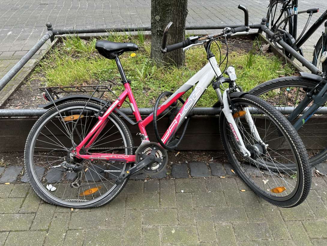 Bild zu gemeldetem Anliegen vom *2024-03-11 07:35:48