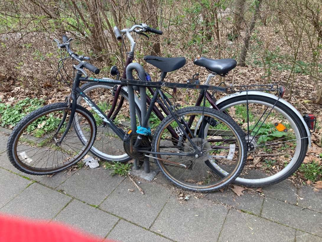 Bild zu gemeldetem Anliegen vom *2024-03-08 10:23:07