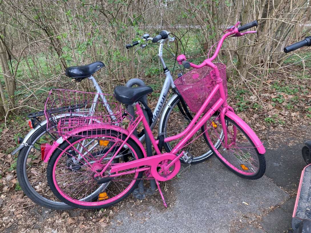 Bild zu gemeldetem Anliegen vom *2024-03-08 10:25:21