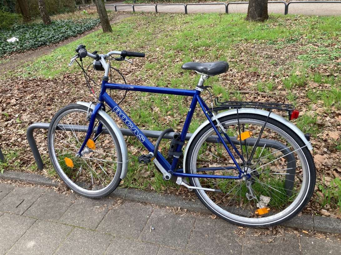 Bild zu gemeldetem Anliegen vom *2024-03-08 06:34:28