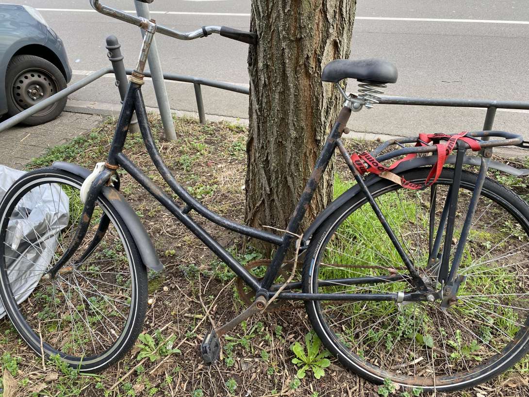 Bild zu gemeldetem Anliegen vom *2024-03-04 18:54:52