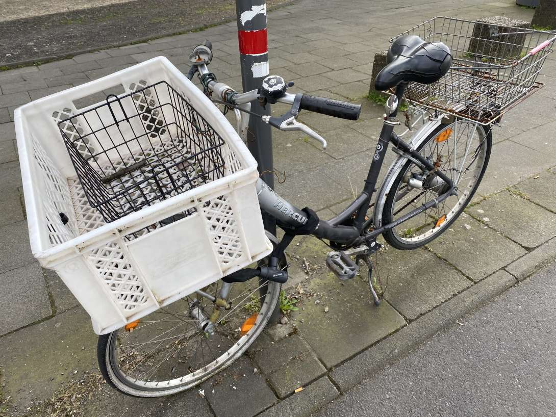 Bild zu gemeldetem Anliegen vom *2024-03-13 11:16:38