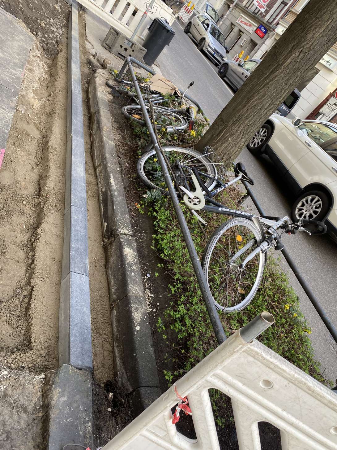 Bild zu gemeldetem Anliegen vom *2024-03-18 13:45:12