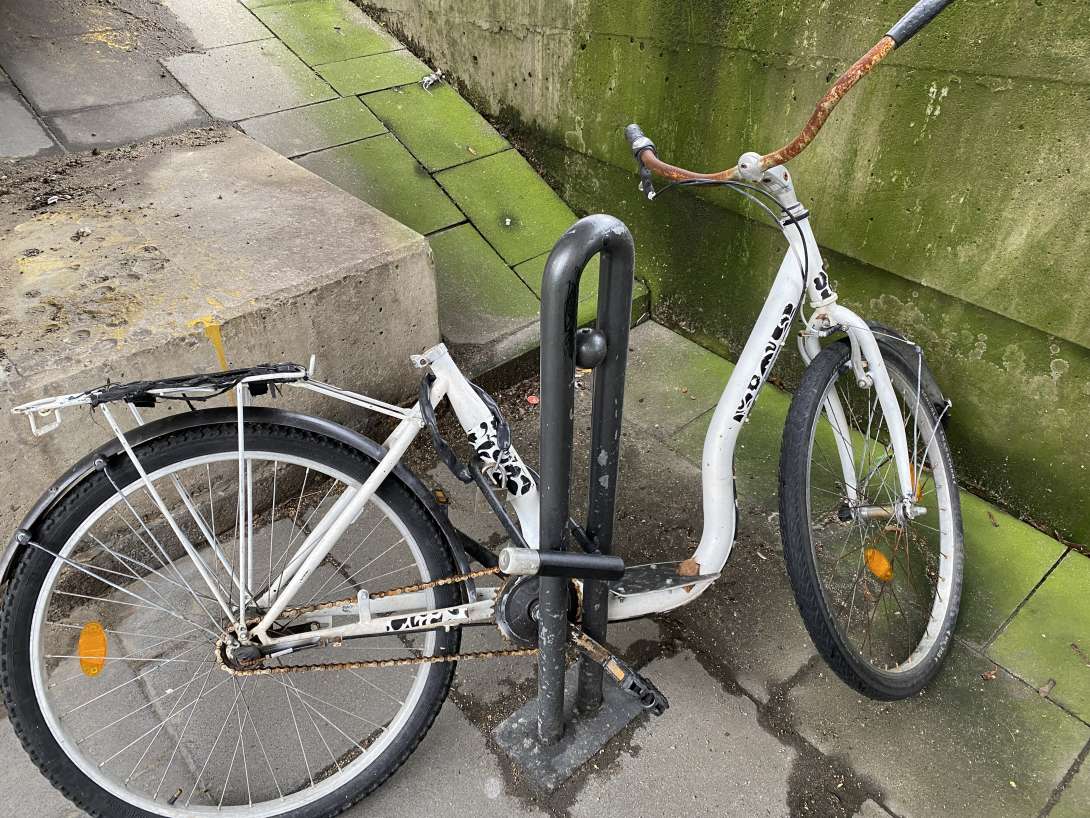 Bild zu gemeldetem Anliegen vom *2024-03-18 11:02:14