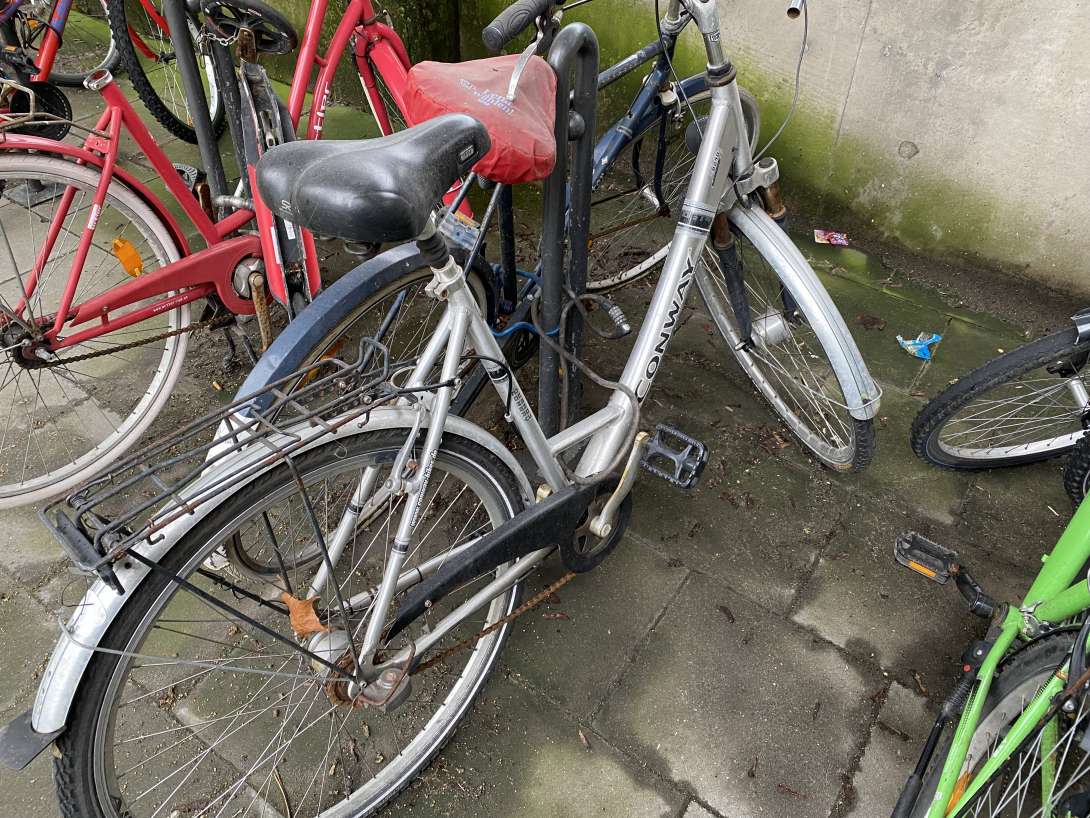 Bild zu gemeldetem Anliegen vom *2024-03-18 11:18:38