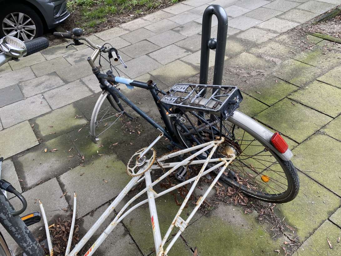 Bild zu gemeldetem Anliegen vom *2024-03-18 11:19:50