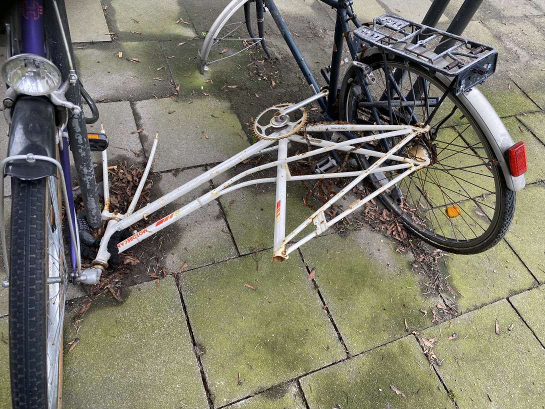 Bild zu gemeldetem Anliegen vom *2024-03-18 11:20:14