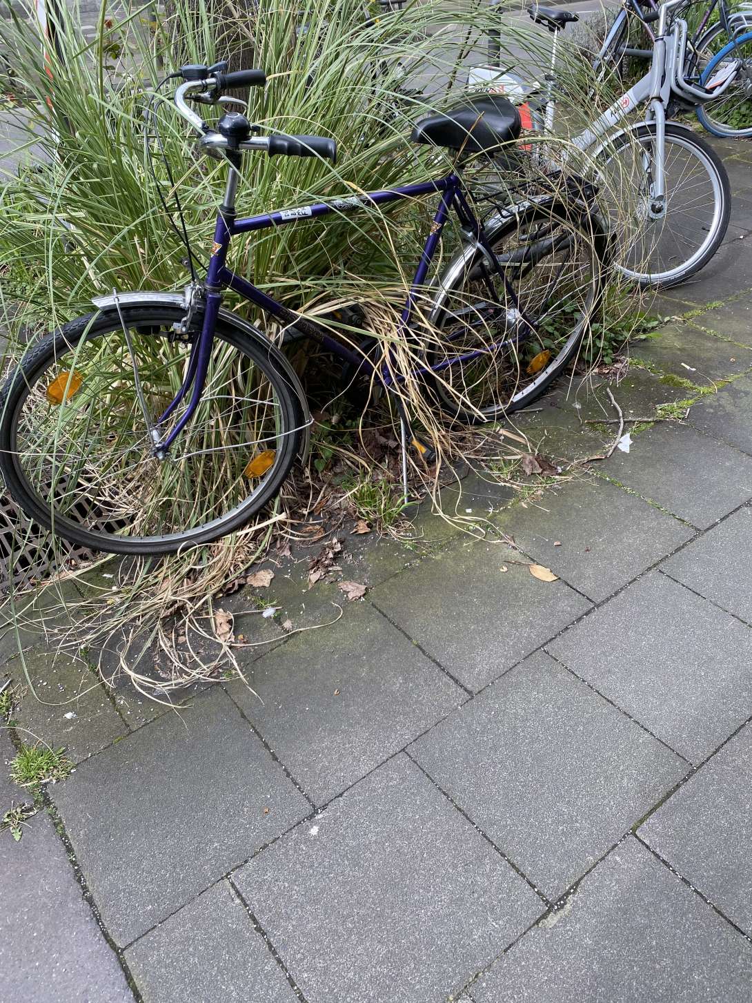 Bild zu gemeldetem Anliegen vom *2024-03-27 09:11:49