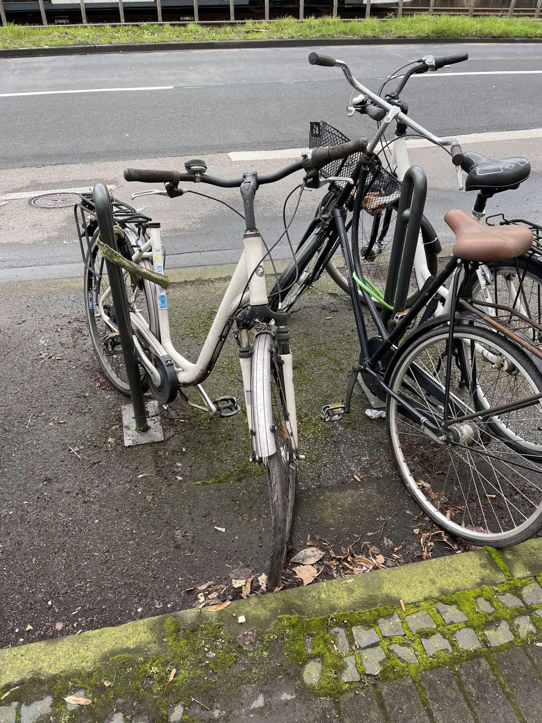 Bild zu gemeldetem Anliegen vom *2024-03-18 14:35:05