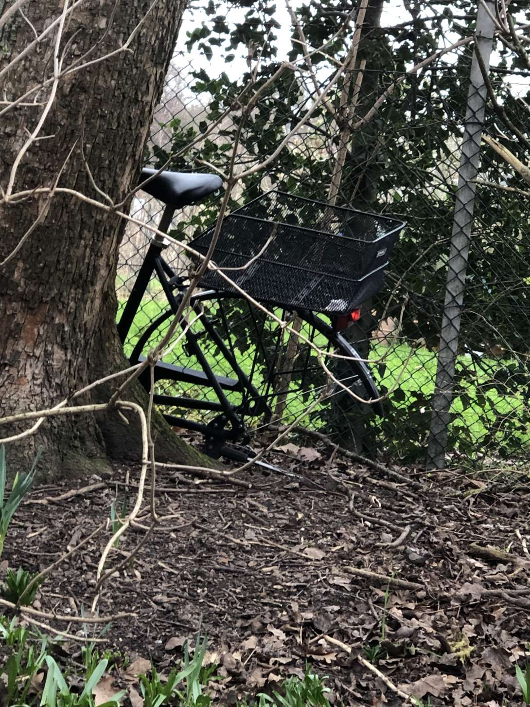 Bild zu gemeldetem Anliegen vom *2024-03-14 10:39:43