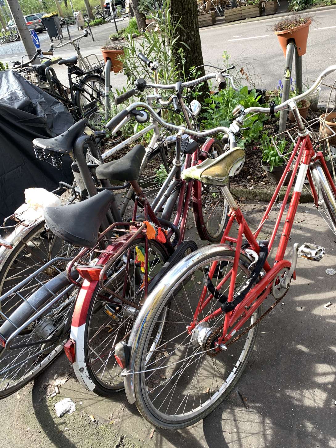 Bild zu gemeldetem Anliegen vom *2024-03-20 12:17:54