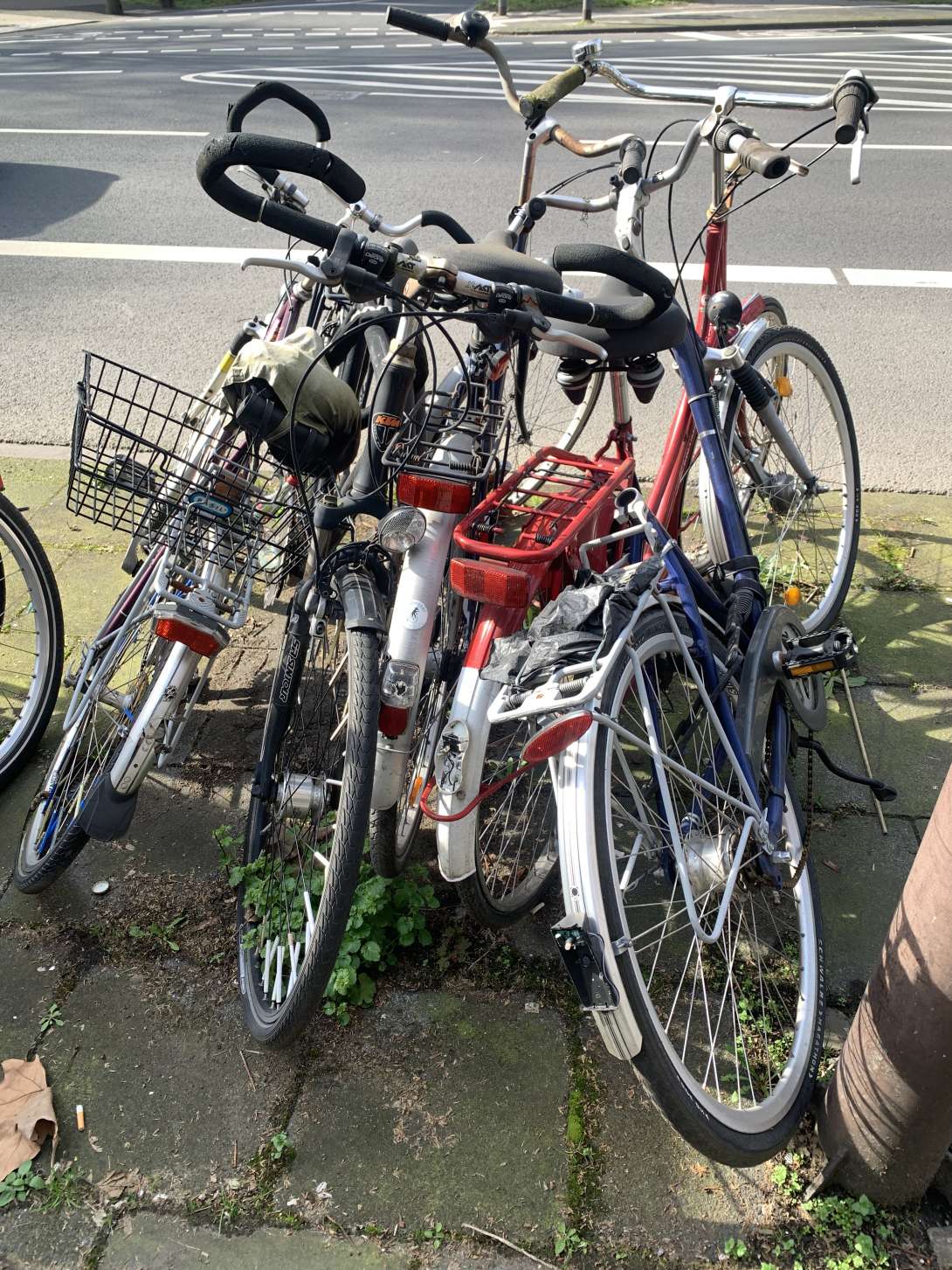 Bild zu gemeldetem Anliegen vom *2024-04-16 13:16:59