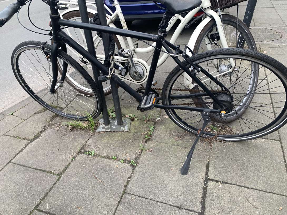 Bild zu gemeldetem Anliegen vom *2024-03-25 11:44:15