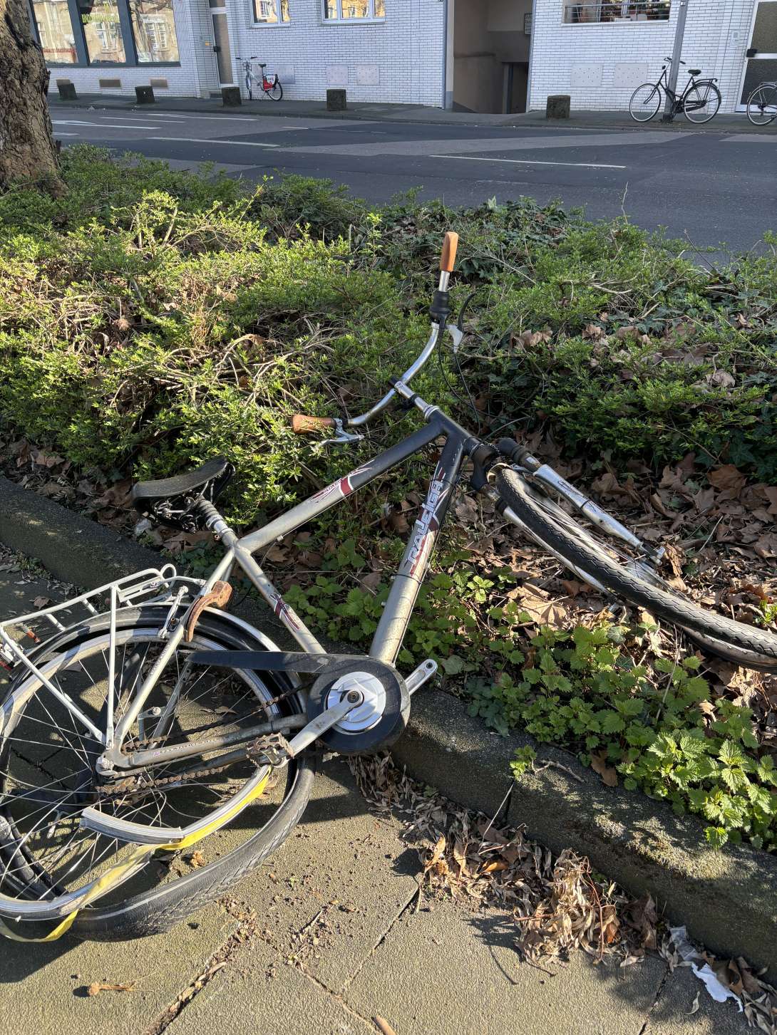 Bild zu gemeldetem Anliegen vom *2024-04-12 09:40:09