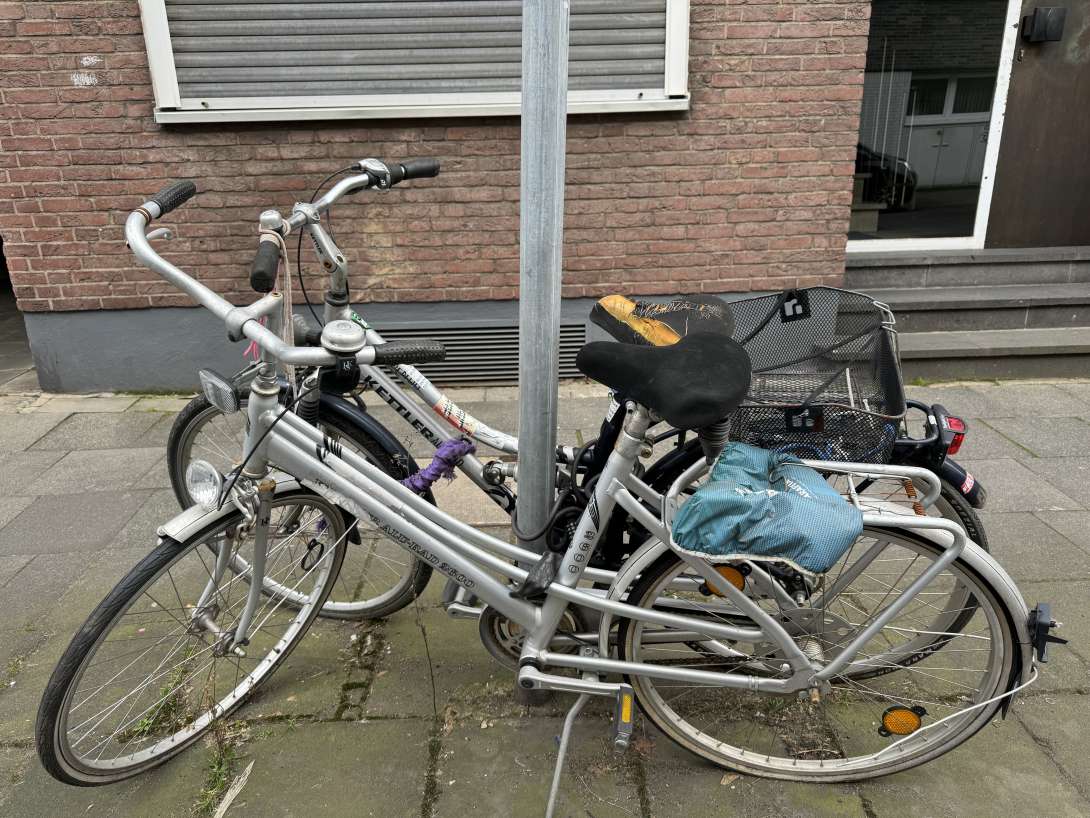 Bild zu gemeldetem Anliegen vom *2024-03-12 09:43:26