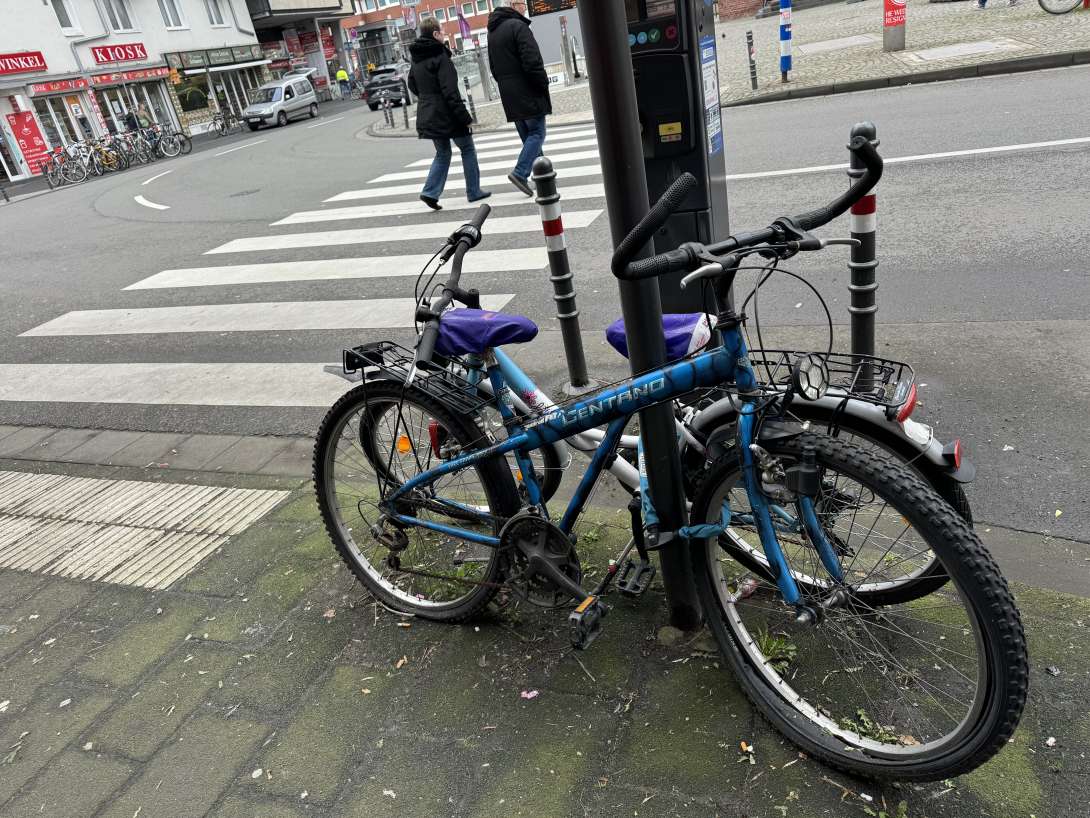 Bild zu gemeldetem Anliegen vom *2024-03-14 11:06:32