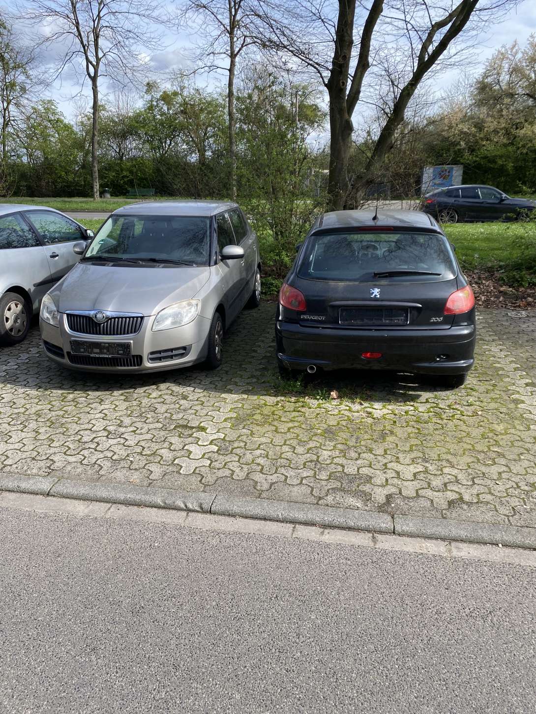 Bild zu gemeldetem Anliegen vom *2024-03-19 15:35:27