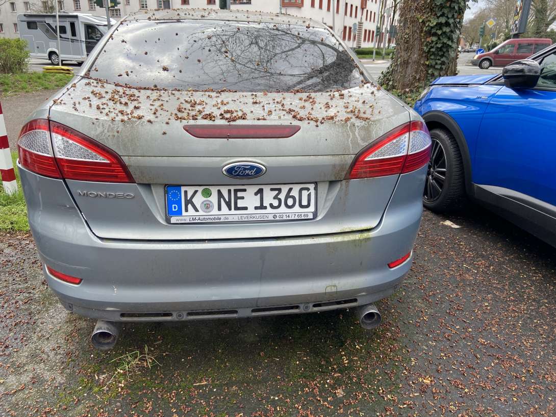 Bild zu gemeldetem Anliegen vom *2024-03-19 10:30:49