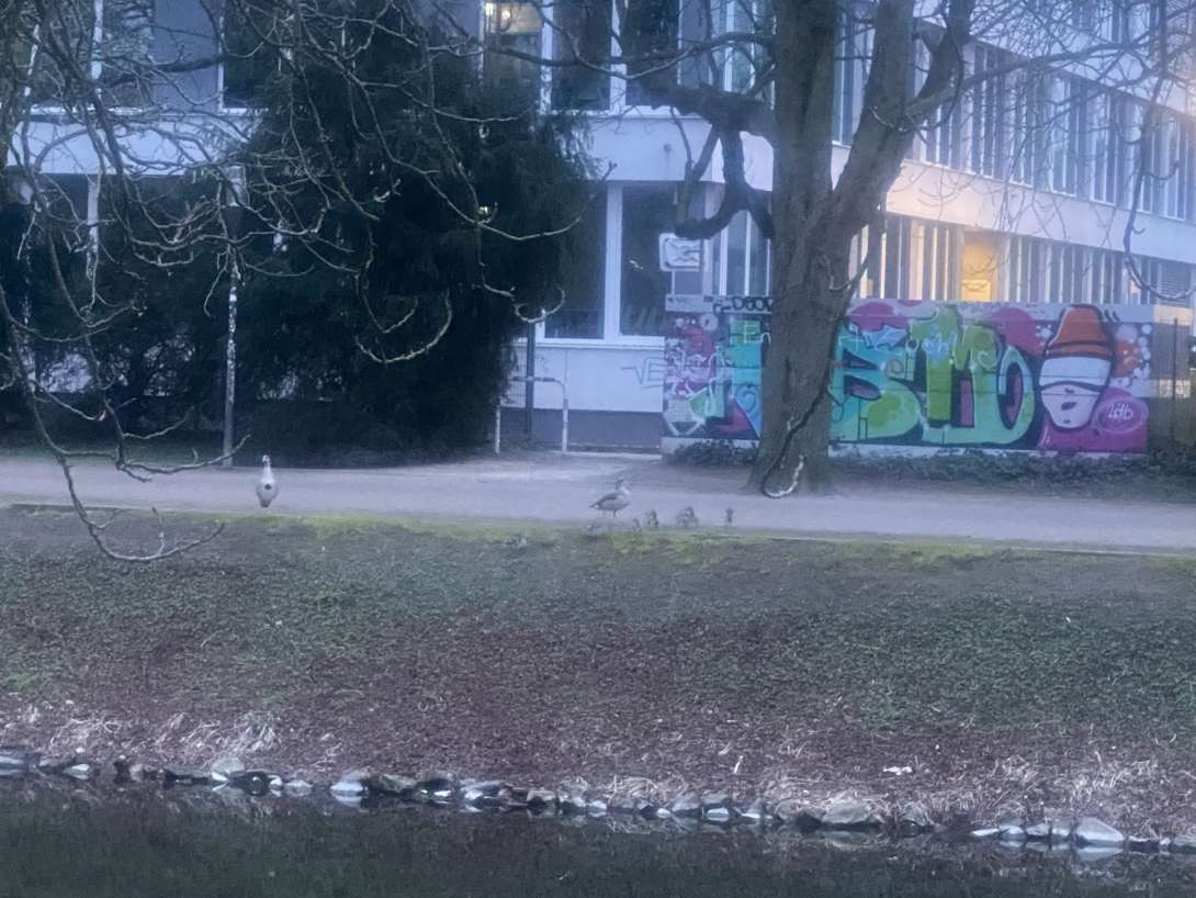 Bild zu gemeldetem Anliegen vom *2024-03-10 18:32:32