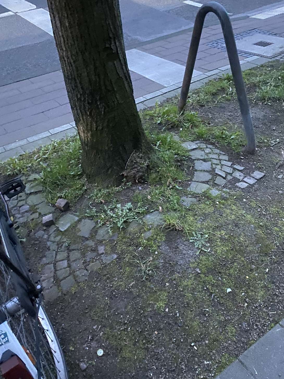 Bild zu gemeldetem Anliegen vom *2024-03-10 18:38:12