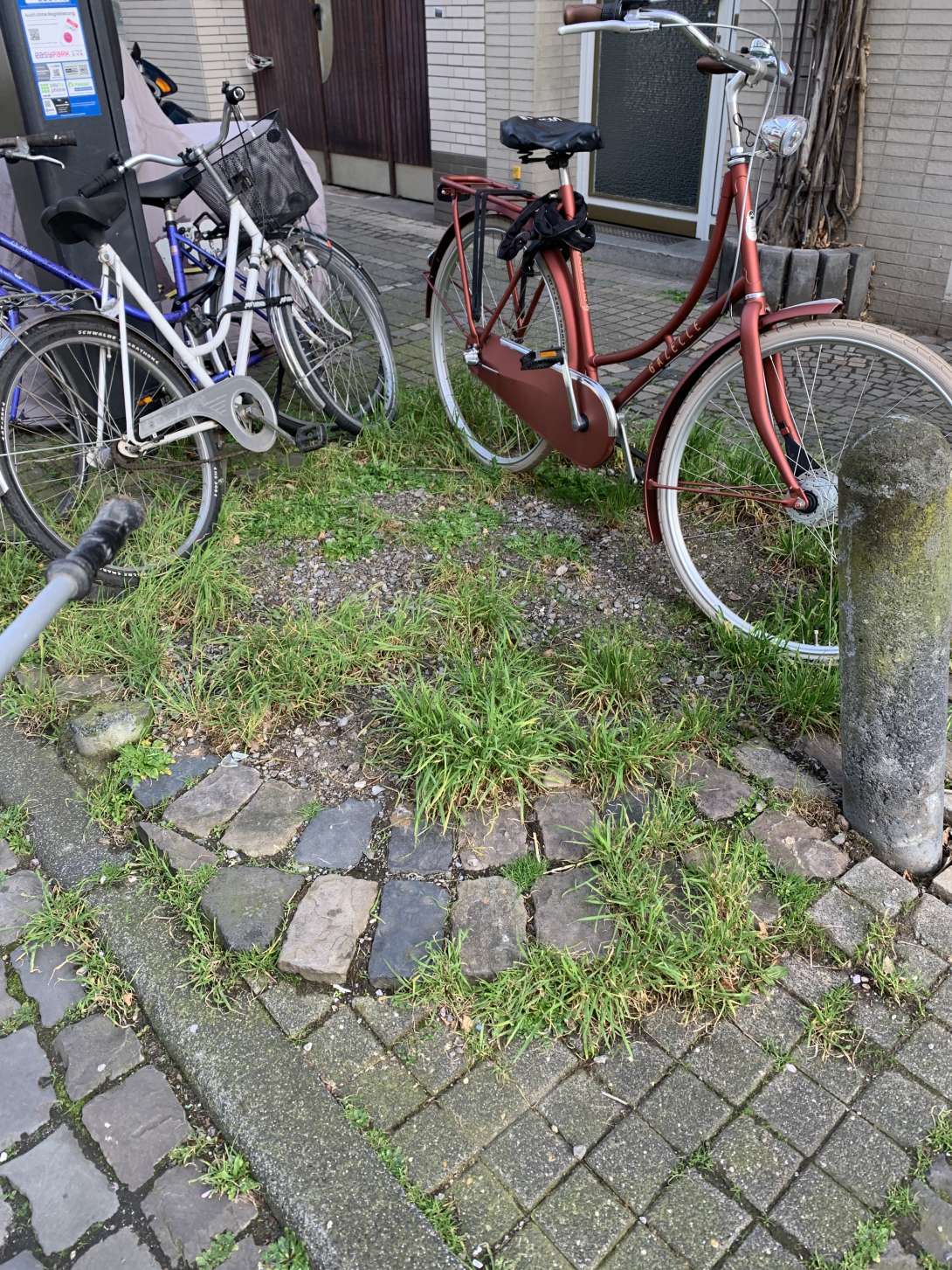 Bild zu gemeldetem Anliegen vom *2024-03-25 09:46:40