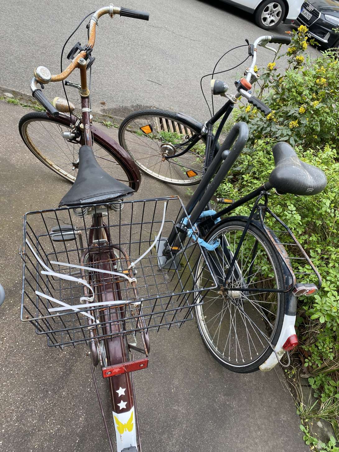 Bild zu gemeldetem Anliegen vom *2024-04-02 18:13:28